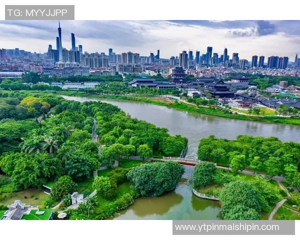 广州排球队阵地战分析：优劣势与未来发展方向探讨