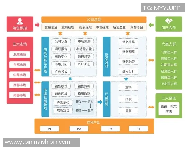 深入分析上海排球队的运营策略与市场推广模式