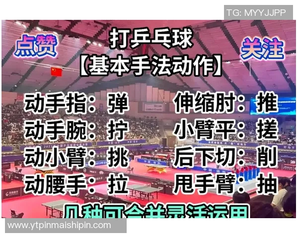 科学乒乓球速度训练方法探究与实用技巧分享