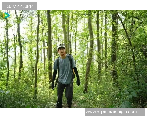 西安攀岩队的个人能力提升与团队协作热潮探讨 西安攀岩队的个人能力提升与团队协作热潮探讨