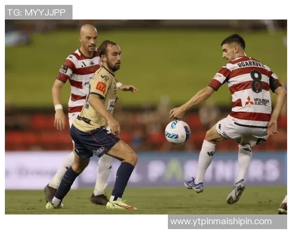 西悉尼与纽卡斯托激战正酣谁能在这场较量中笑到最后