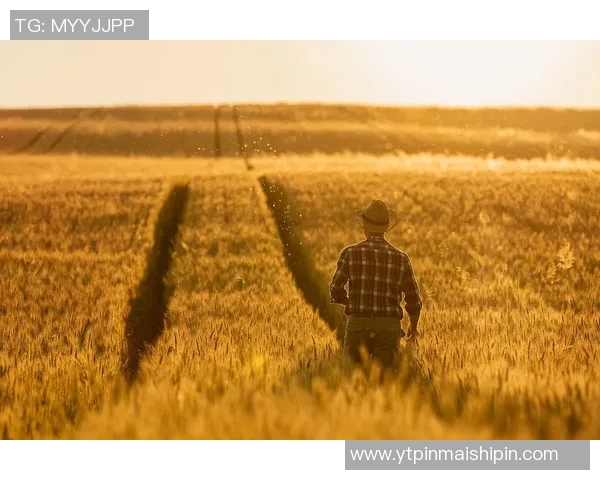 萨林杰的文学世界与人生哲学探秘：从麦田里的守望者看青春的迷惘与追寻