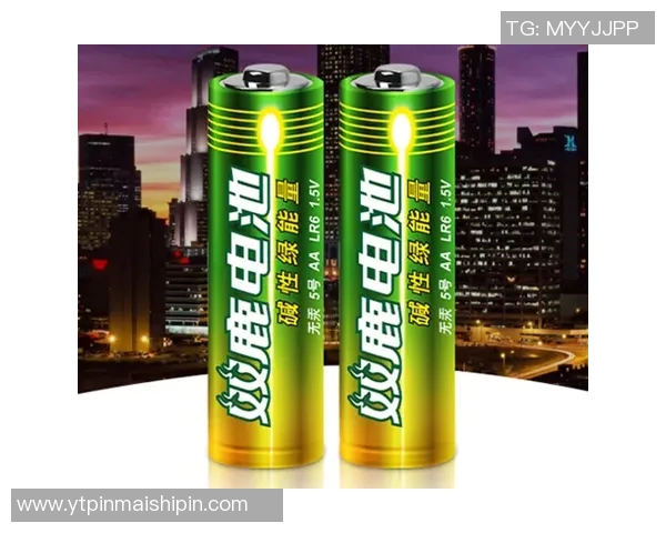 八一双鹿电池在国际市场的崛起与美国竞争的全景分析